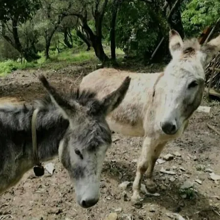 A Casa Di Grea Отель типа 
