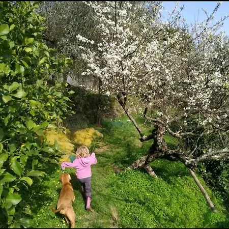 A Casa Di Grea Рапалло